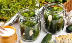 Маринованные хрустящие огурцы на зиму с уксусом: 11 простых и проверенных рецептов